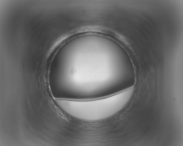 X0000082141312200701190947