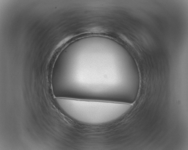 X0000082141315200701190947