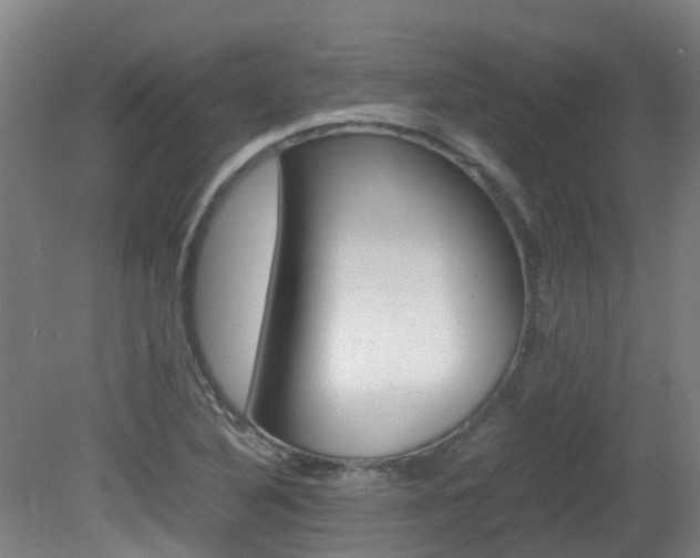 X0000082141316200701190947
