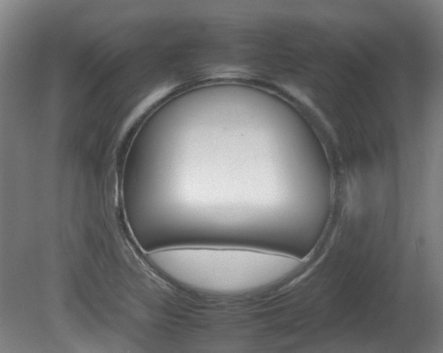 X0000082141317200701190947