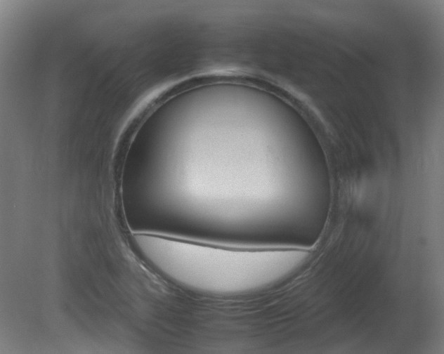 X0000082141319200701190948