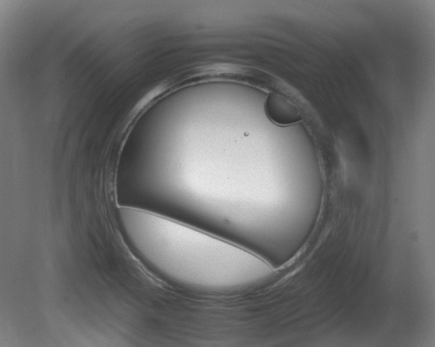 X0000082141321200701190948