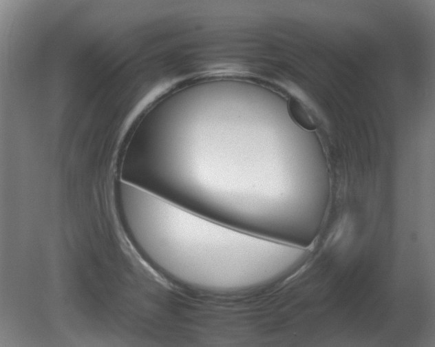 X0000082141325200701190948