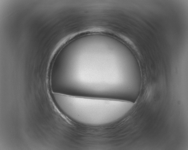 X0000082141327200701190948