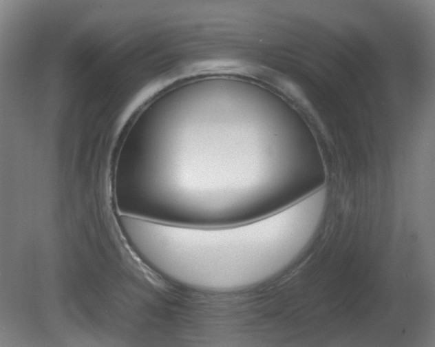 X0000082141328200701190948