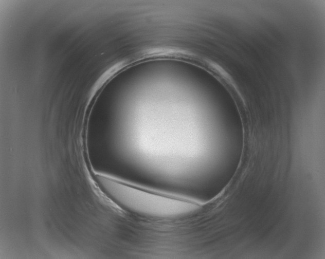 X0000082141330200701190948