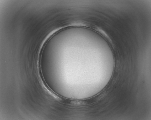 X0000082141331200701190948