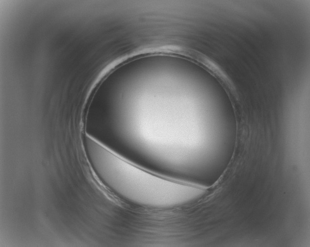 X0000082141332200701190948