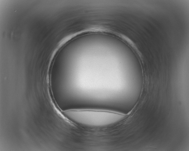 X0000082141335200701190948