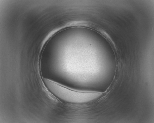 X0000082141336200701190948