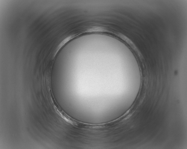X0000082141337200701190948