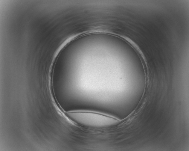 X0000082141341200701190948