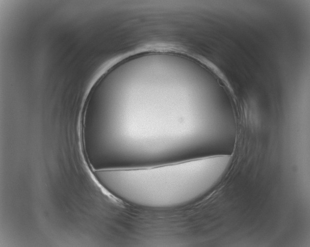 X0000082141343200701190948