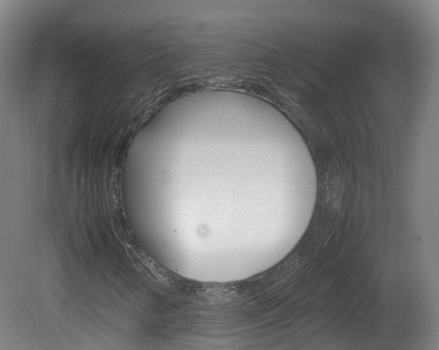 X0000082141346200701190947