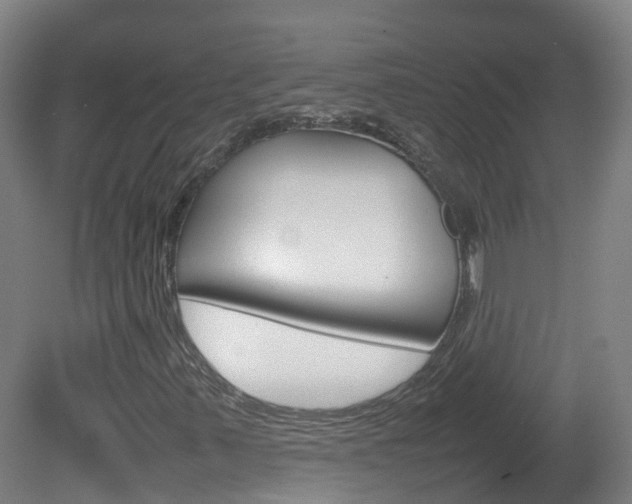 X0000082141347200701190947