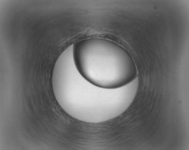 X0000082141348200701190947