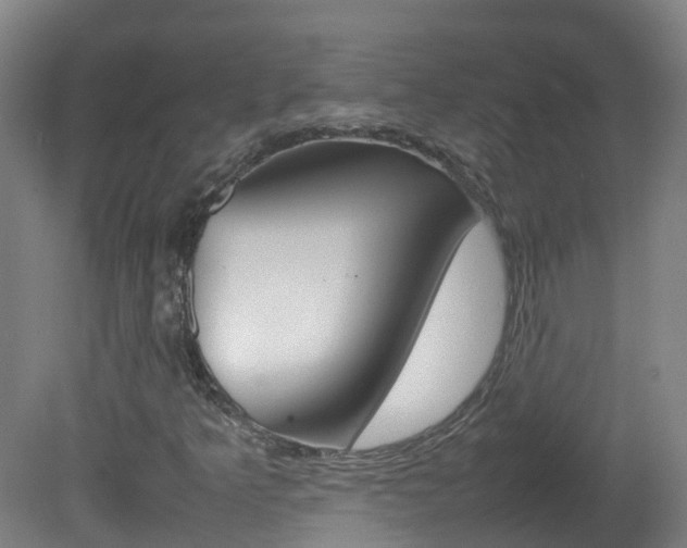 X0000082141349200701190947