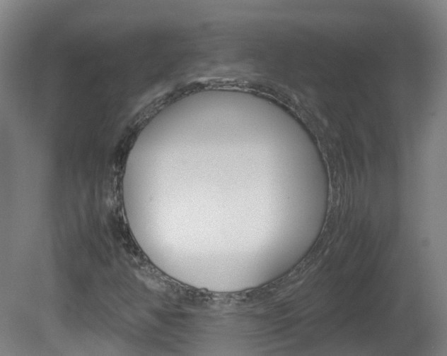 X0000082141350200701190947