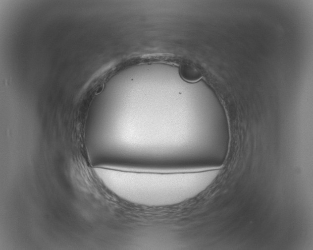 X0000082141351200701190947