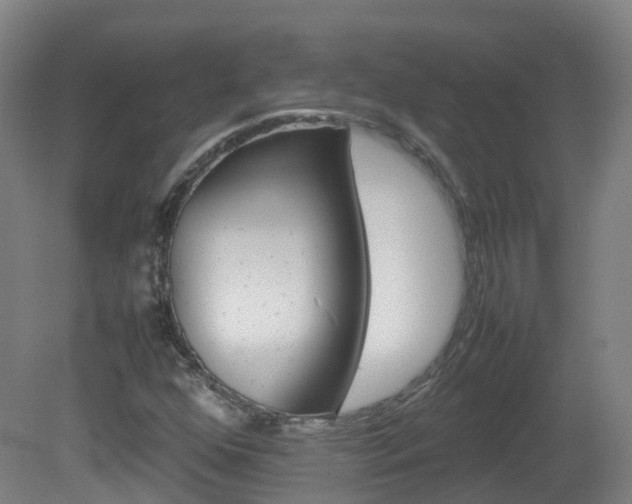 X0000082141352200701190947