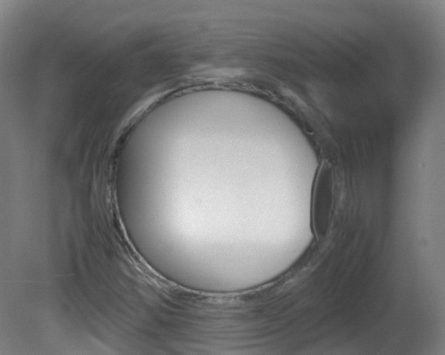 X0000082141354200701190947