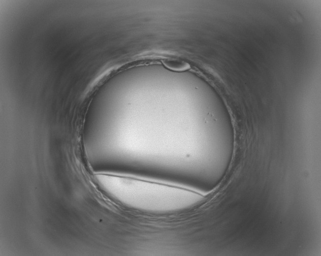 X0000082141355200701190947