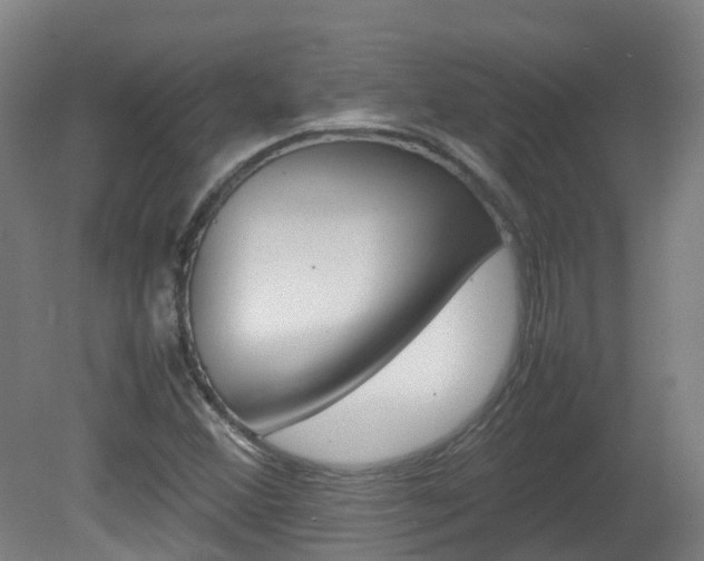 X0000082141356200701190947