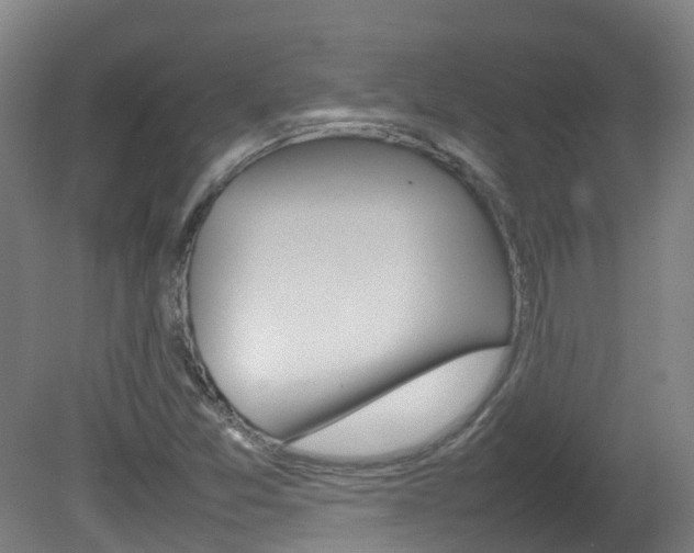 X0000082141357200701190947