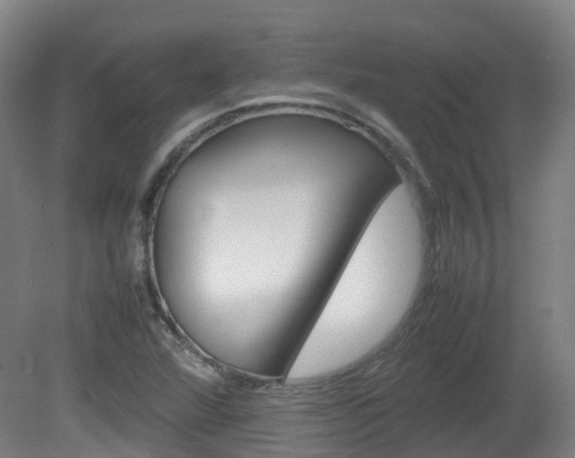 X0000082141360200701190947