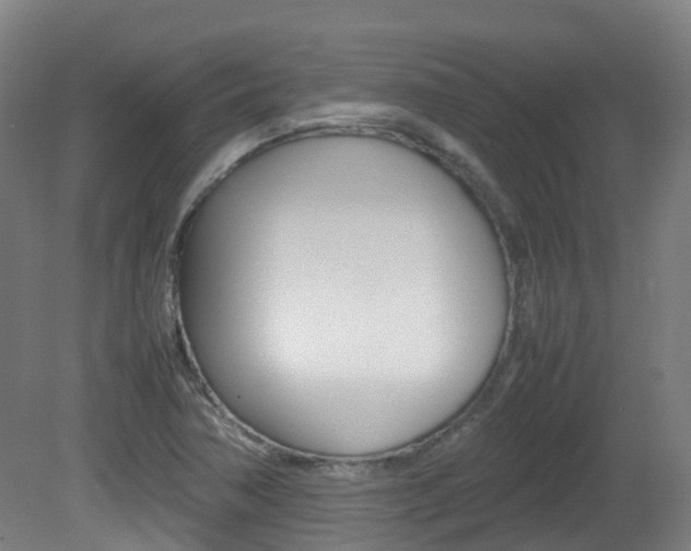 X0000082141362200701190947
