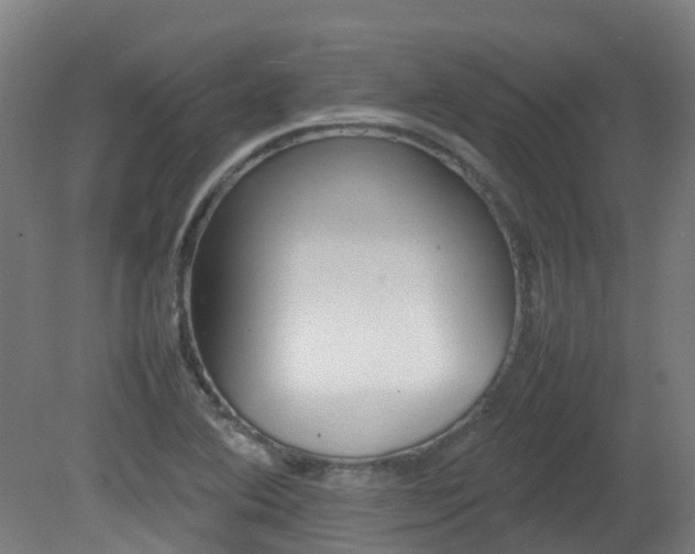 X0000082141364200701190947