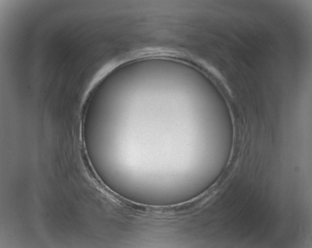 X0000082141365200701190947