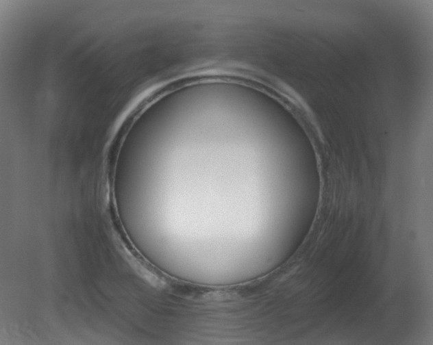 X0000082141368200701190947