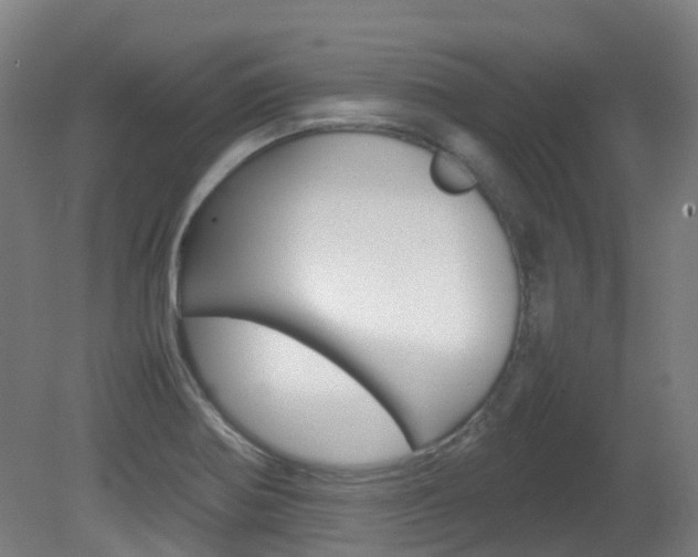 X0000082141370200701190947