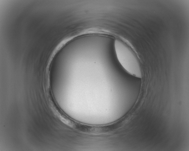 X0000082141371200701190947