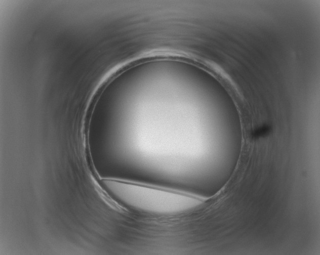 X0000082141372200701190947