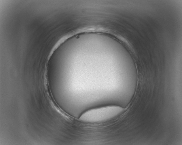 X0000082141374200701190947