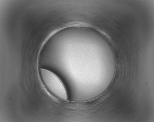 X0000082141375200701190947