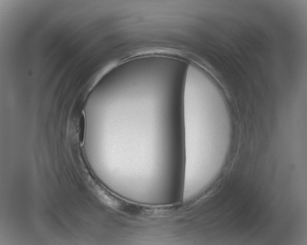 X0000082141377200701190947
