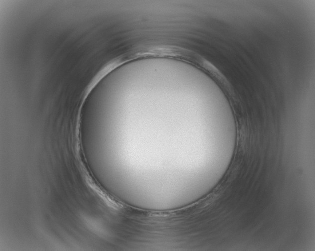 X0000082141378200701190947