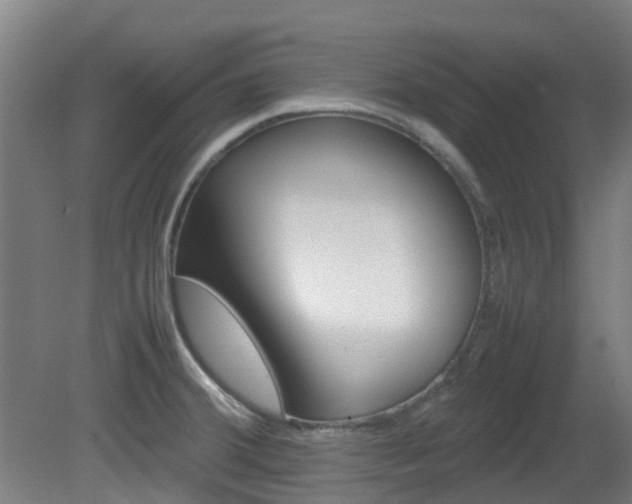 X0000082141380200701190947
