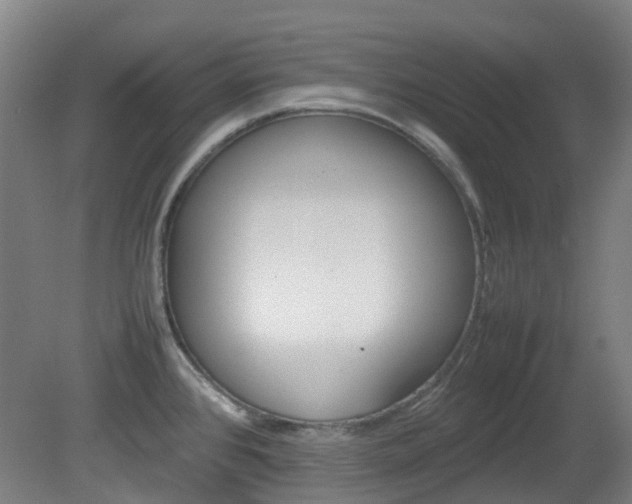X0000082141384200701190946