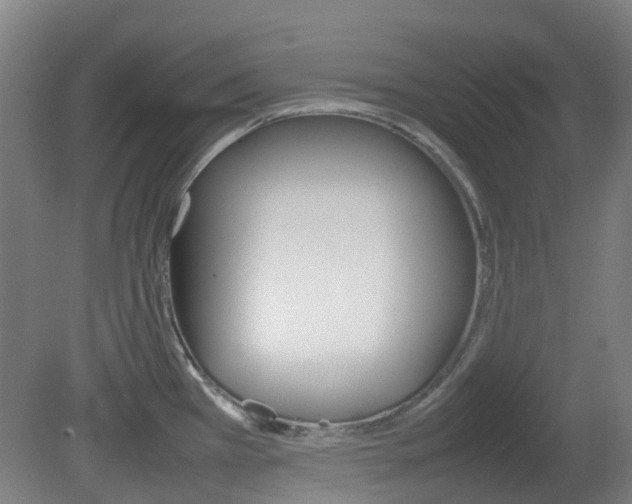 X0000082141385200701190946