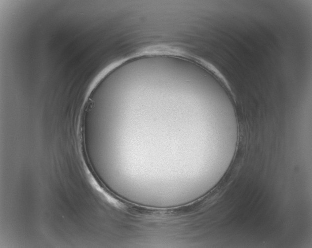 X0000082141387200701190946