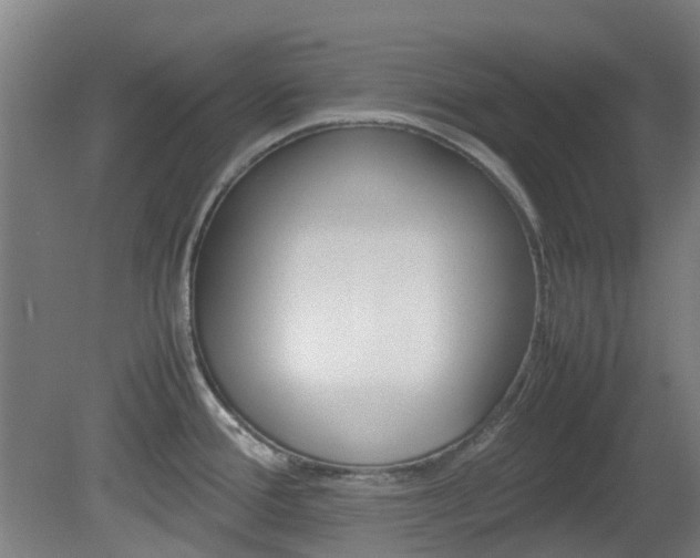 X0000082141388200701190946
