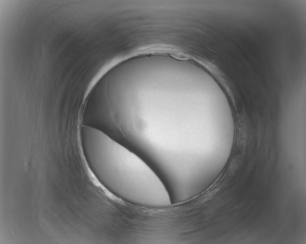 X0000082141390200701190946