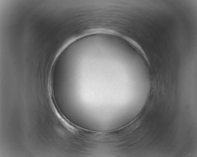 X0000082141391200701190946