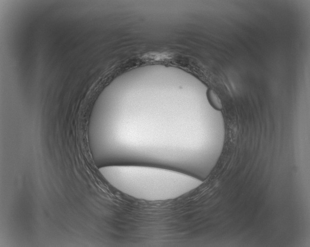 X0000082141393200701190946