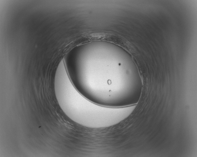 X0000082141394200701190946