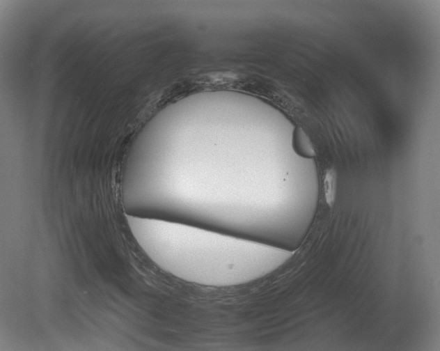 X0000082141395200701190946